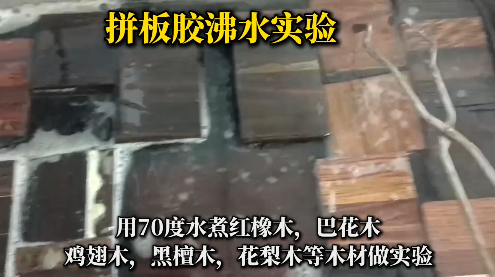 欣凱利拼板膠怎么樣？適合用在什么木材上