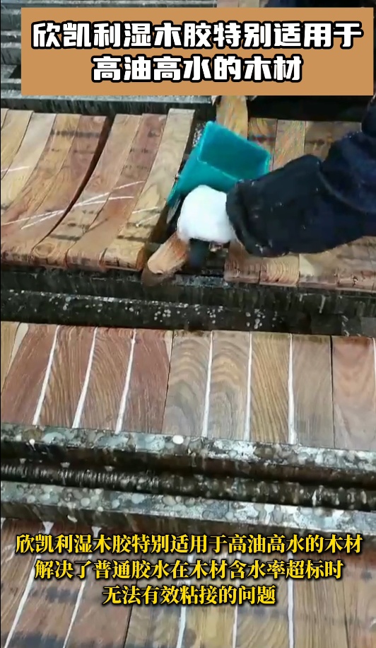 欣凱利濕木膠是一種高性能、高適應性的膠粘劑