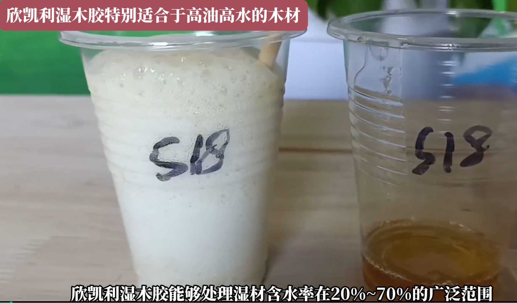 欣凱利濕木膠特別適合于高油高水的木材，快干、快固化