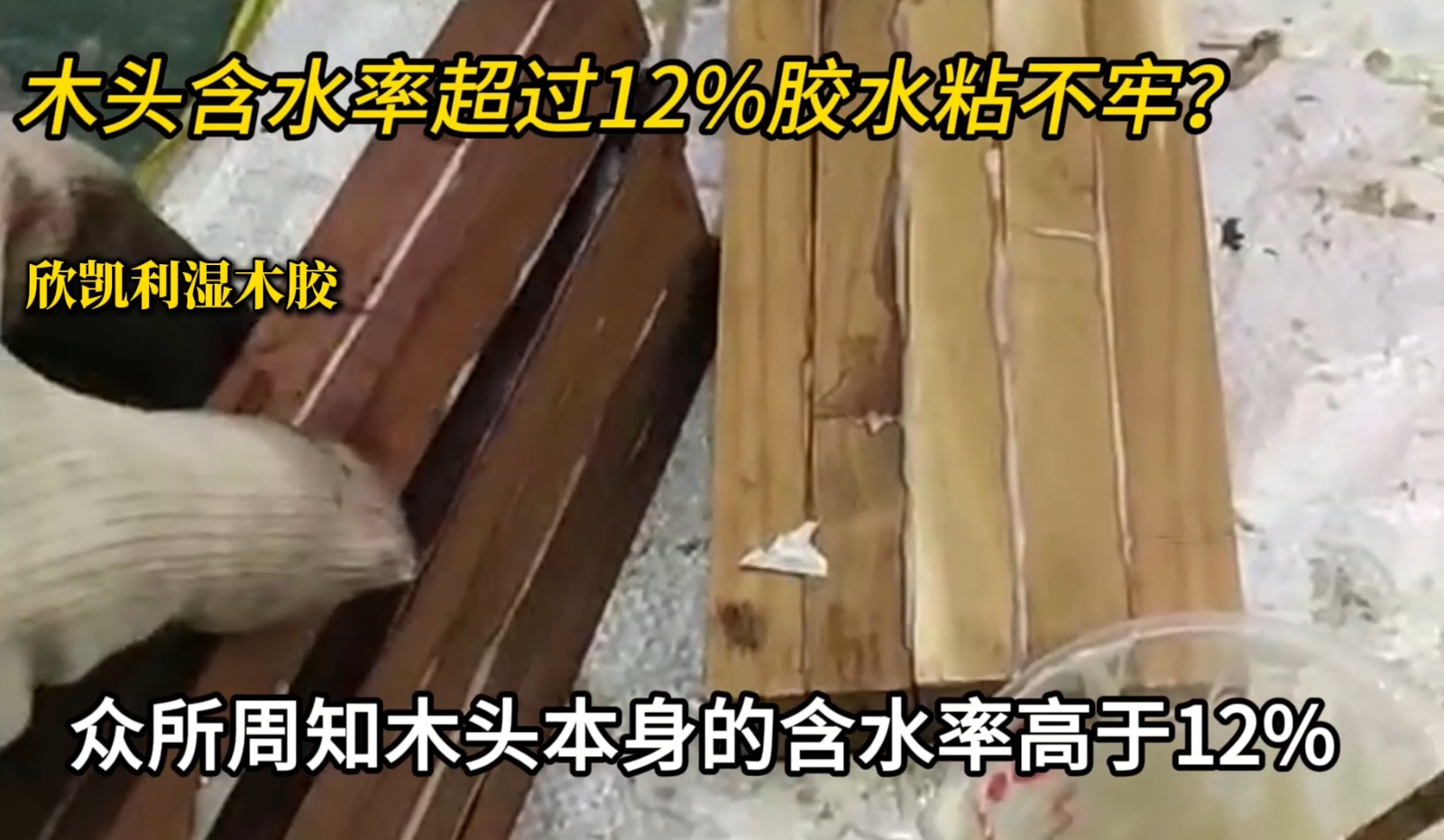 欣凱利濕木膠可用于：橡木、胡桃木、楓木、櫻桃木松木、杉木等木種