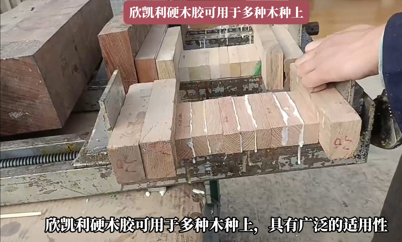 欣凱利硬木膠能夠深入木材裂縫和孔洞，形成牢固的粘接層